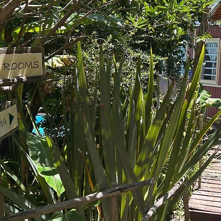The Bamboo Lodge In Knysna Kültér fotó