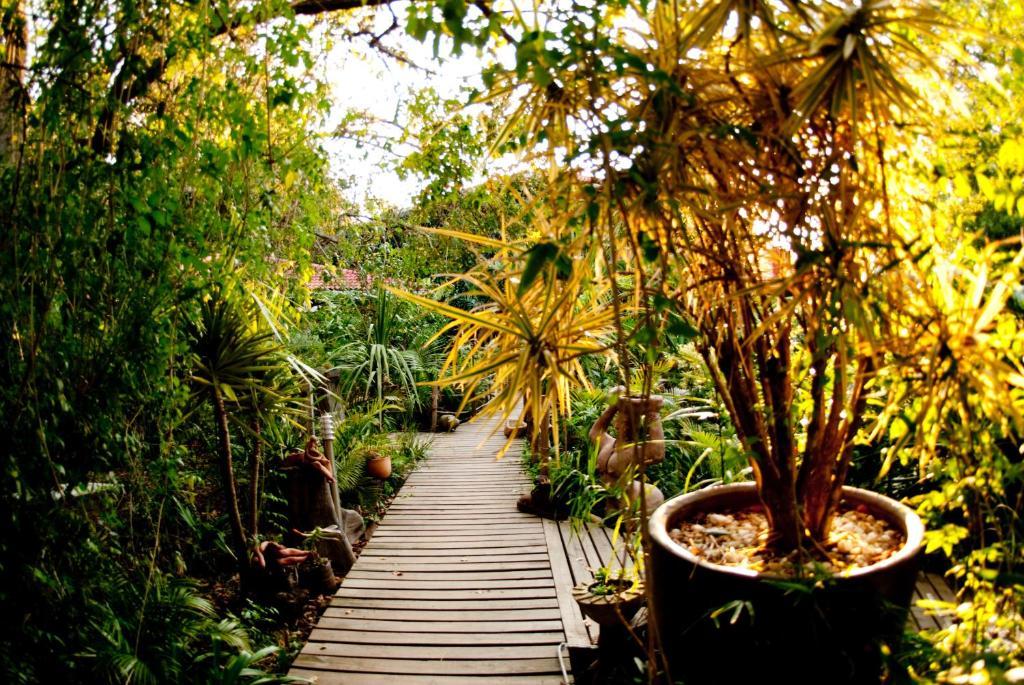 The Bamboo Lodge In Knysna Kültér fotó