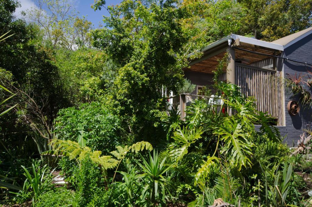 The Bamboo Lodge In Knysna Kültér fotó