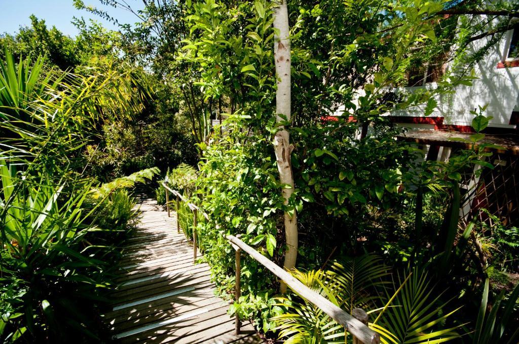 The Bamboo Lodge In Knysna Kültér fotó